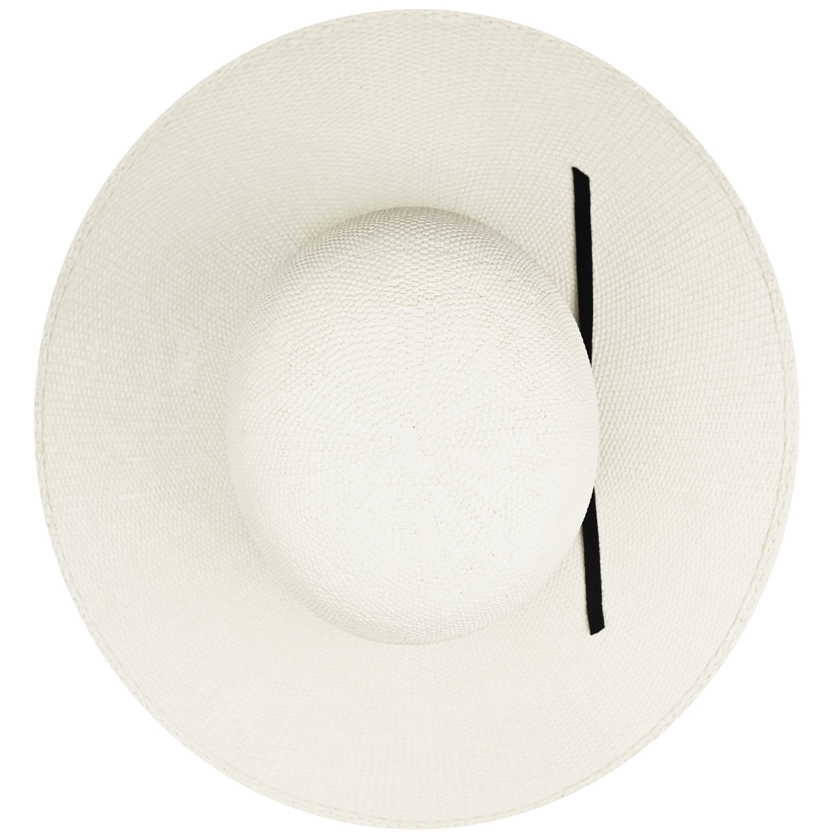 color-ivory