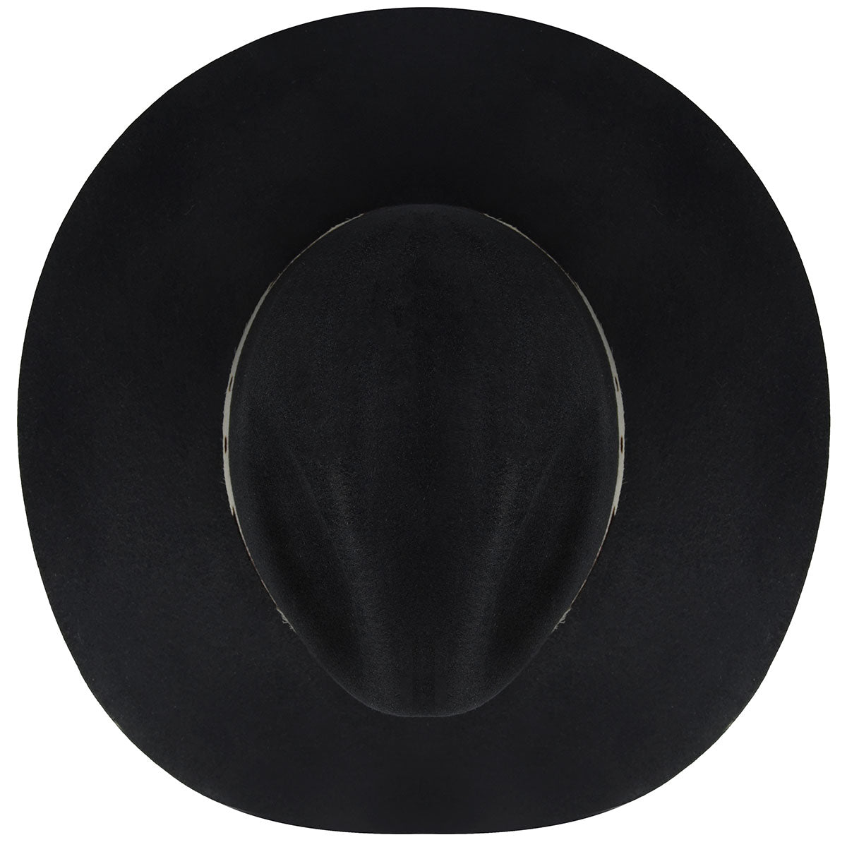 color-black