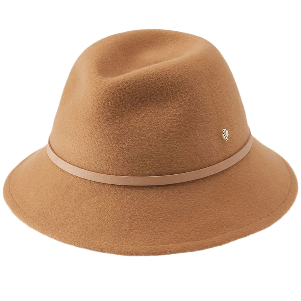 color-camel-camel