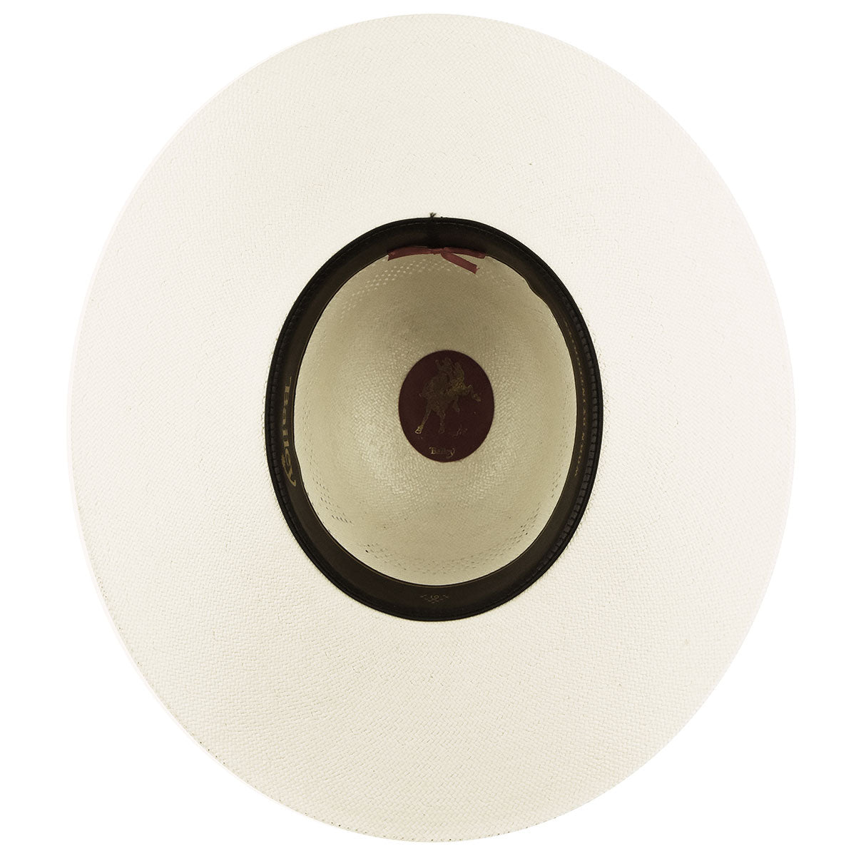color-ivory