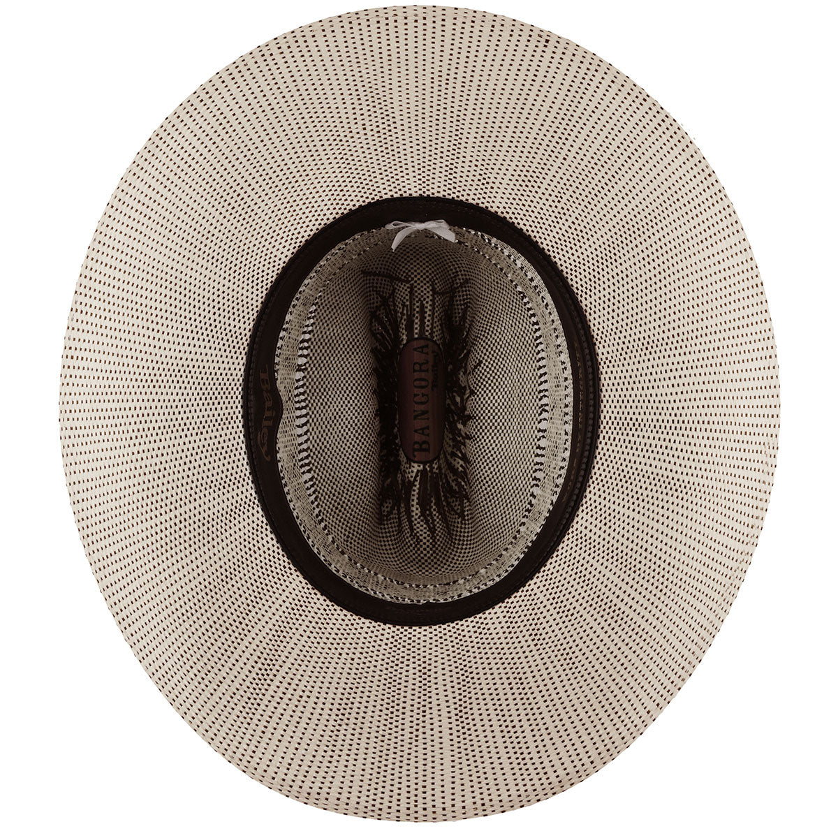 color-ivory-brown