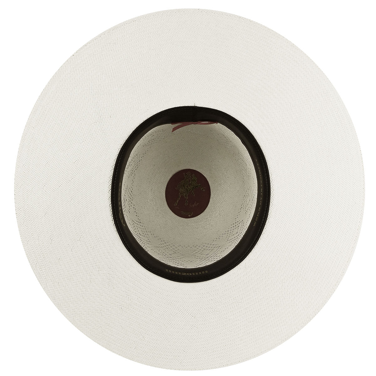 color-ivory