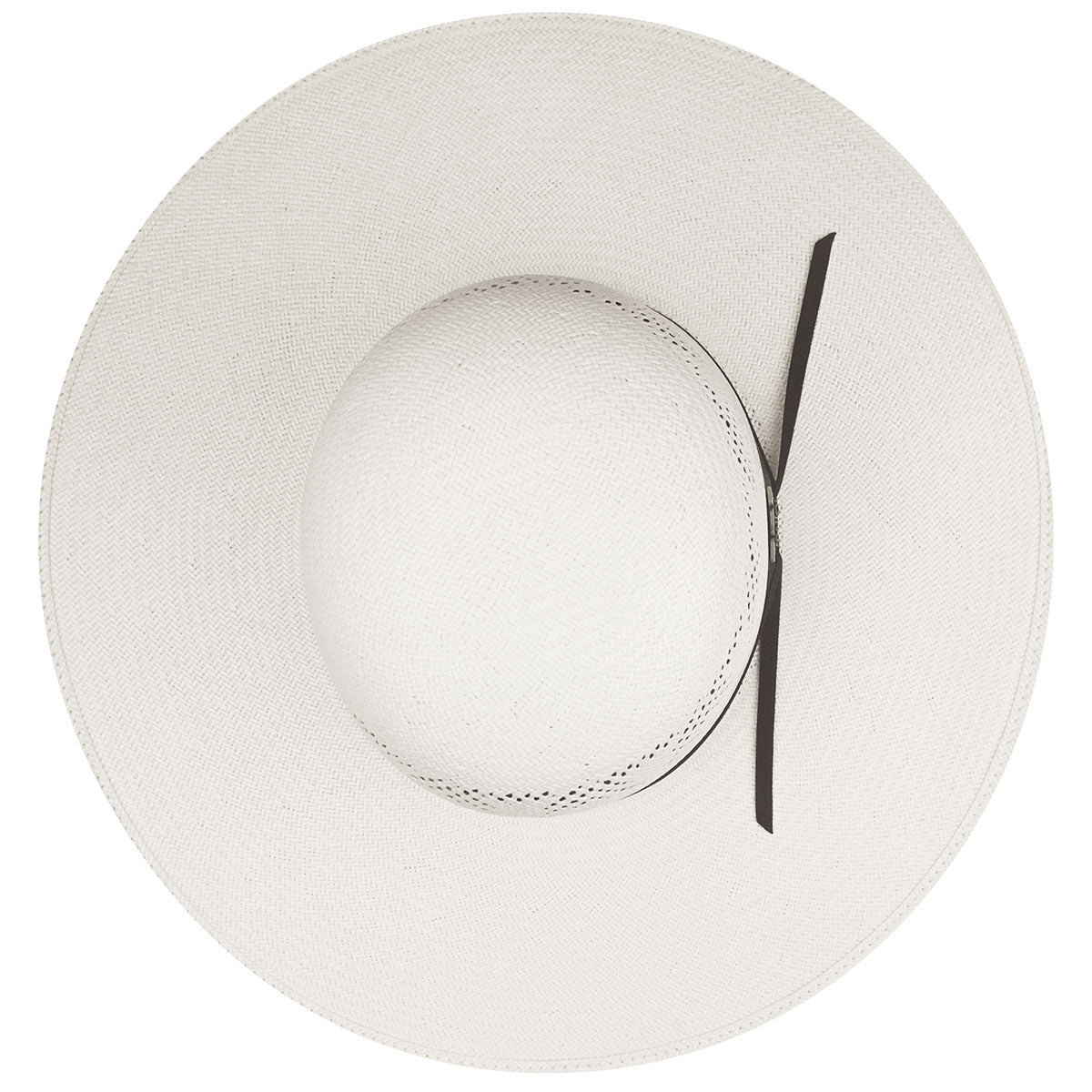 color-ivory