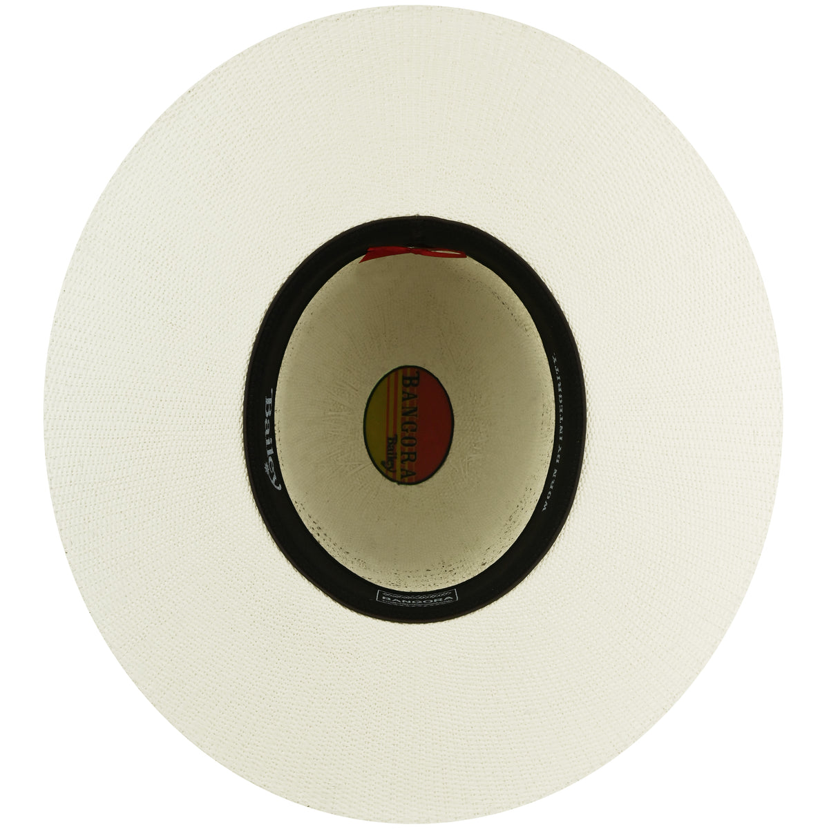 color-ivory