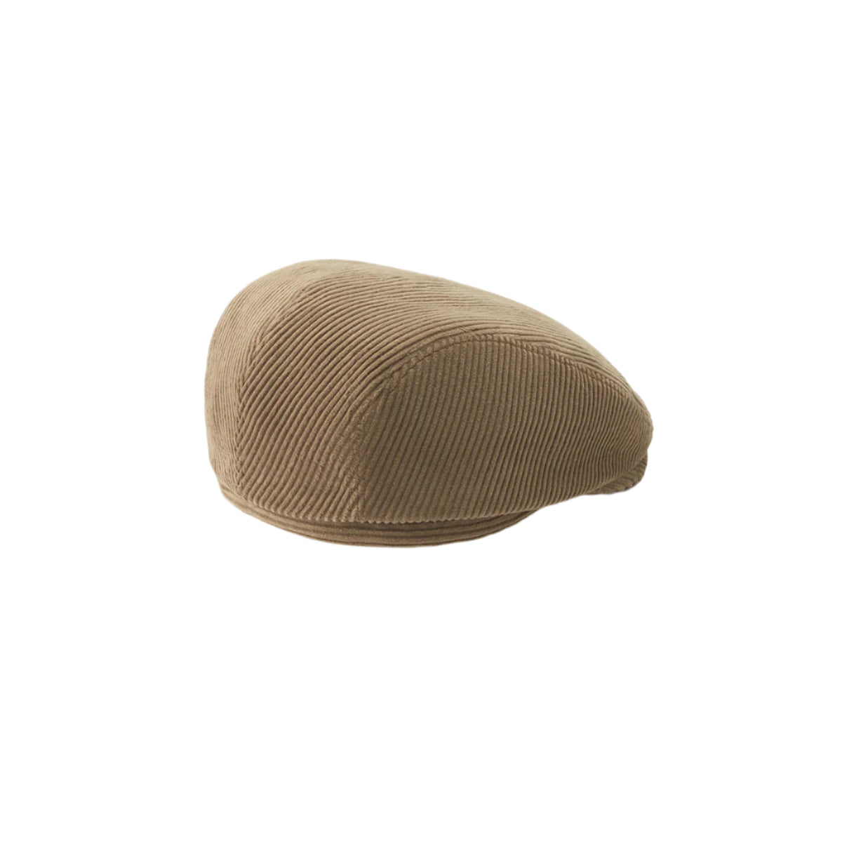 color-mushroom