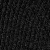 Color swatch for Black