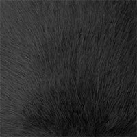 Color swatch for Black