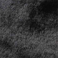 Color swatch for Black Solid