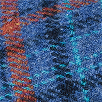 Color swatch for Blue Check