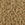 Color swatch for Camel