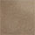 Color swatch for Camel