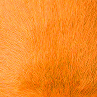 Color swatch for Electric Kumquat