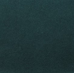 Color swatch for Forest Green