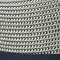 Color swatch for Grey