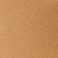 Color swatch for Honey