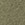 Color swatch for Kelp