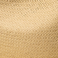 Color swatch for Light Dusted Ochre