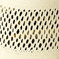 Color swatch for Maize