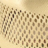 Color swatch for Maize