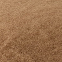 Color swatch for Oak