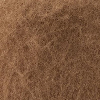Color swatch for Oak