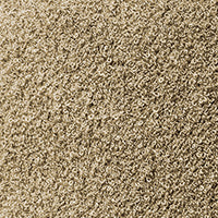 Color swatch for Oat