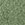 Color swatch for Oil Green