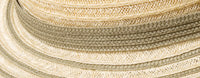 Color swatch for Palm