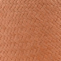 Color swatch for Salmon