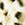 Color swatch for Snow Leopard