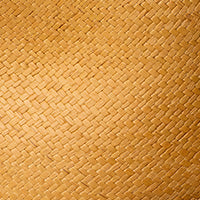 Color swatch for Tan