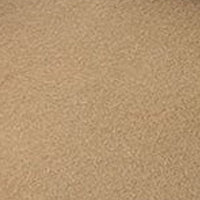 Color swatch for Tan