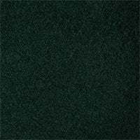 Color swatch for Viridian
