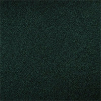 Color swatch for Viridian