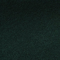 Color swatch for Viridian
