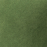 Color swatch for Wild Green